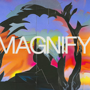 Magnify [Single]