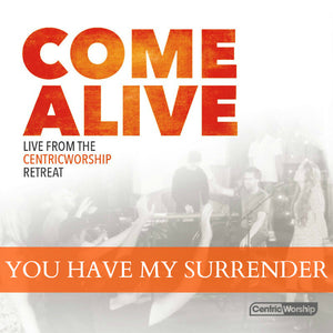 You Have My Surrender - Song Download