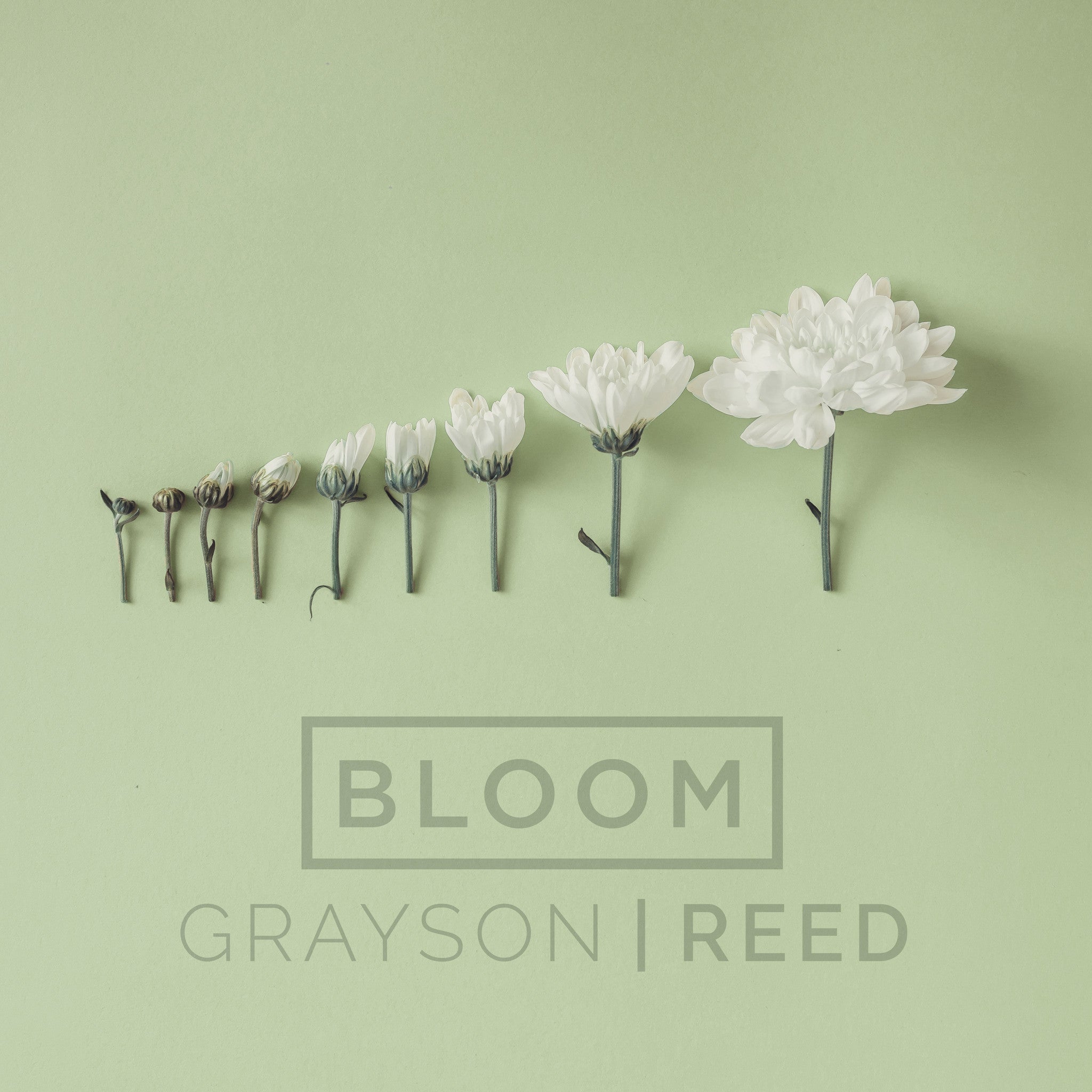 Grayson|Reed | Bloom - Single